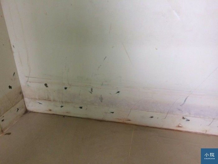 漏水 地板會溼 牆角磁磚都發霉 Courcasa 小院