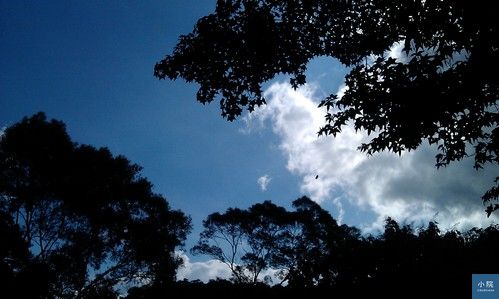 抬頭的天空