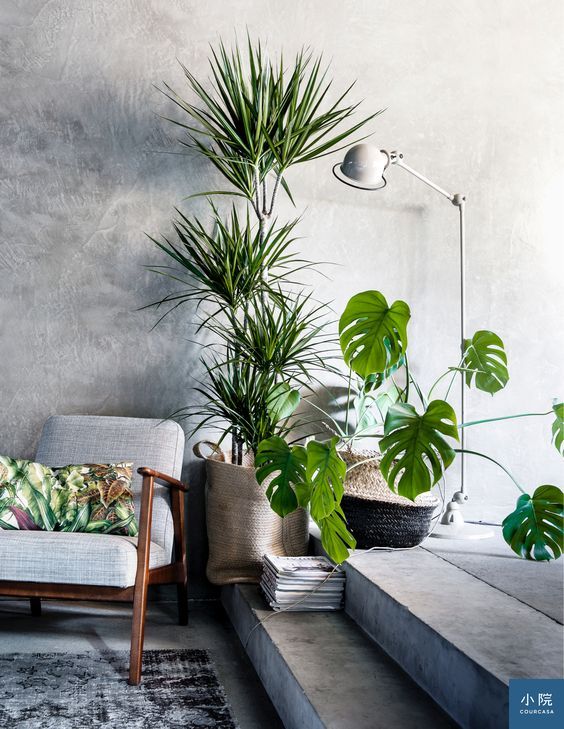 圖片來源:home and garden