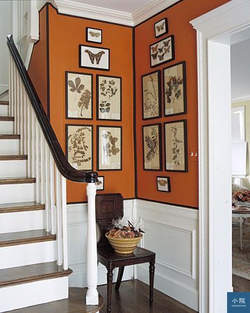 Orange-Martha-Stewart