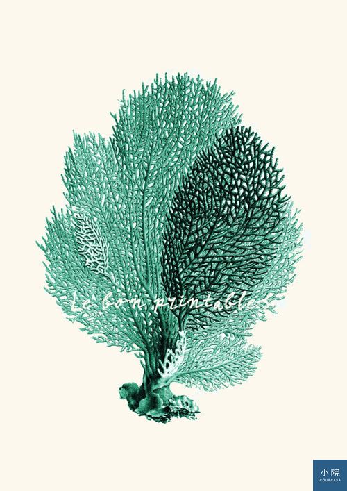 il_570xN.454028782_97fd